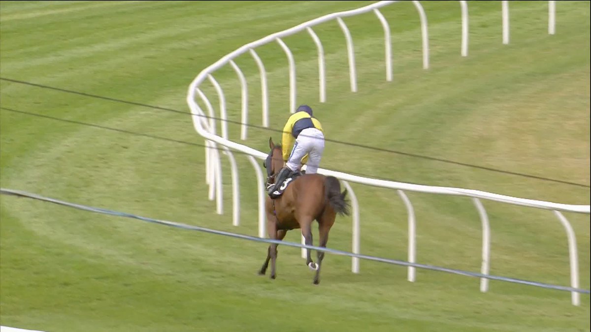 It's a Sean Bowen special! High Fibre powers home to win the Betway Summer Handicap Hurdle 💪 Sean Bowen | James Owen Racing