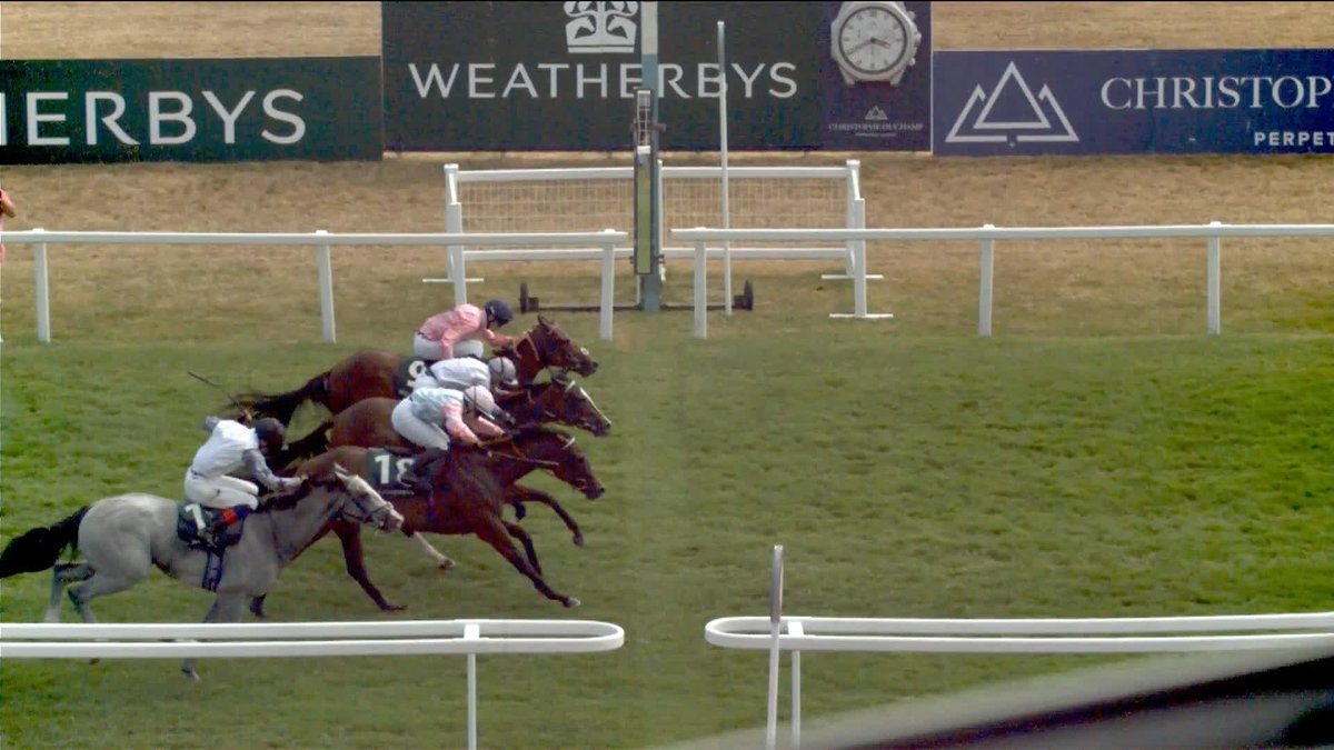 A three way finish! 🤯 Zigazig Ah takes Weatherbys Super Sprint Stakes 🥇 saffie osborne | Rebel Racing | Richard spencer