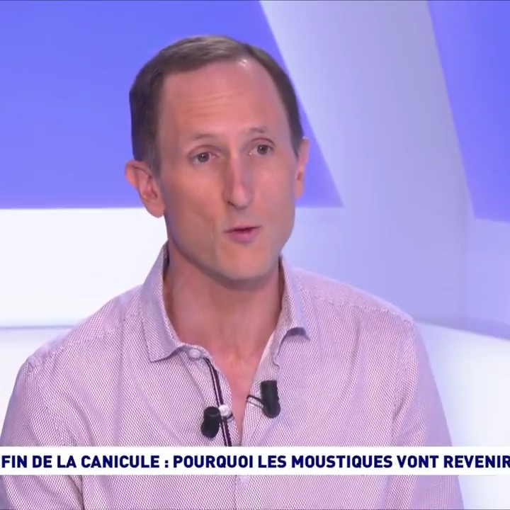 "Les #moustiques souffrent comme nous de la chaleur ! Les températures idéales pour leur développement sont entre 26 et 30°. Mais on ne va pas avoir plus de moustiques après la #canicule, ils reprendront juste un développement normal..." Louis Lambrechts, l'invité de #cdanslair
