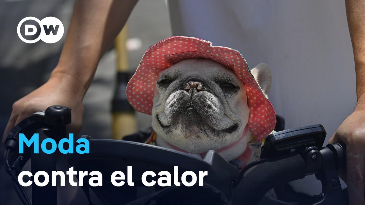 Innovación frente al calor extremo Desde ropa con ventiladores hasta aerosoles de hielo: en Japón, la batalla contra el calor más intenso está dando lugar a un nuevo mercado: el de la ropa y accesorios de refrigeración. #Kokushobi