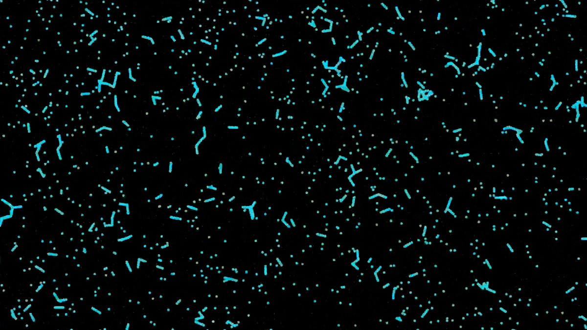 Scientists are decoding the secrets of how water freezes.