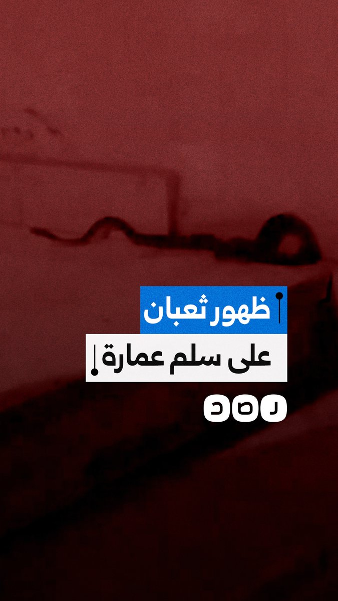 ظهور ثعبان على سلم عمارة سكنية بحدائق الأهرام في الجيزة