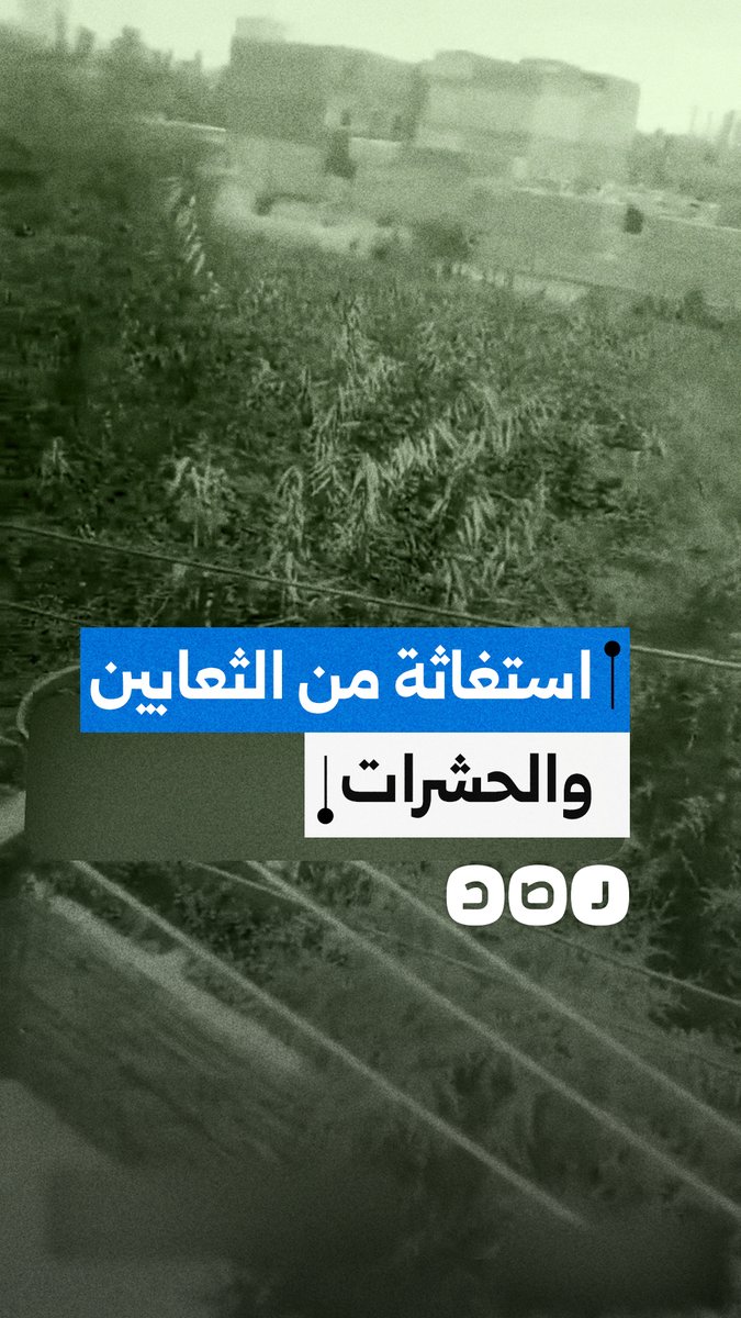 استغاثة من مواطن في أسيوط بسبب انتشار الزواحف والحشرات قرب منزله وسط مطالبات بحل عاجل