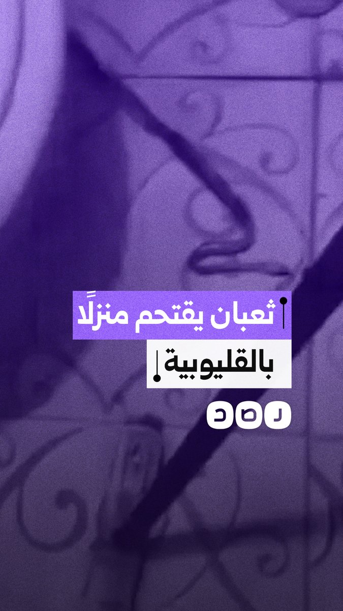 حالة من الفزع عقب اقتحام ثعبان لمنزل في بالقليوبية عبر المرحاض