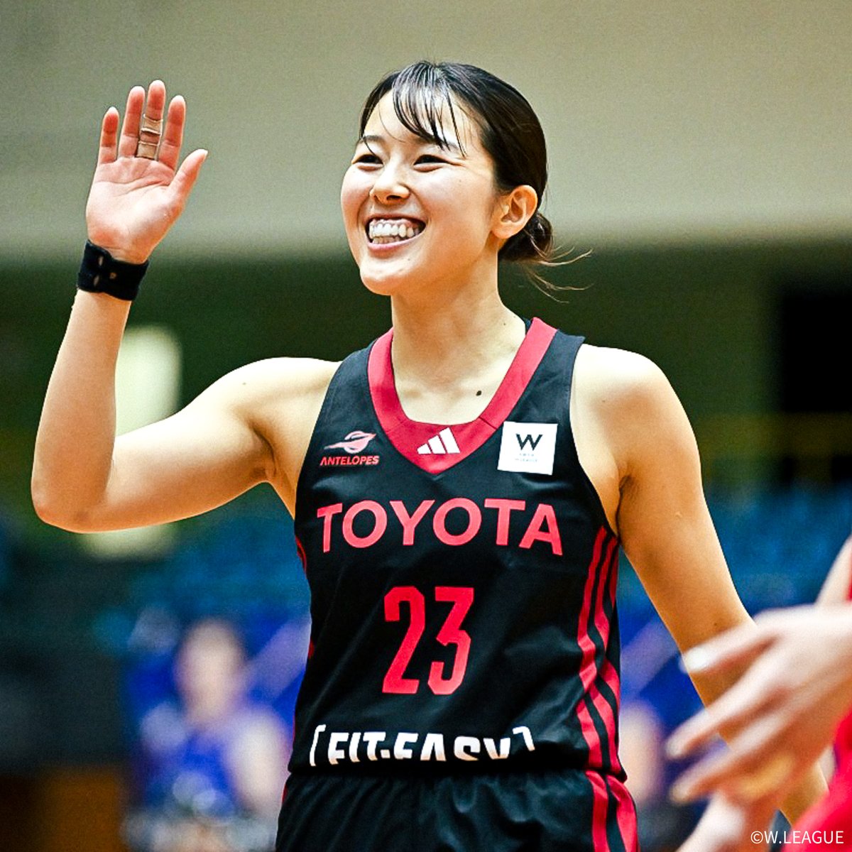 WNBA契約発表🔥 日本人史上5人目の快挙へ💥 世界最高峰の舞台に挑戦する #山本麻衣 選手の最新プレーはこちら！ ※写真・映像は2025-26シーズン 山本麻衣 【公式】トヨタ自動車アンテロープス🏀TOYOTA 𝘼𝙣𝙩𝙚𝙡𝙤𝙥𝙚𝙨 #Wリーグ