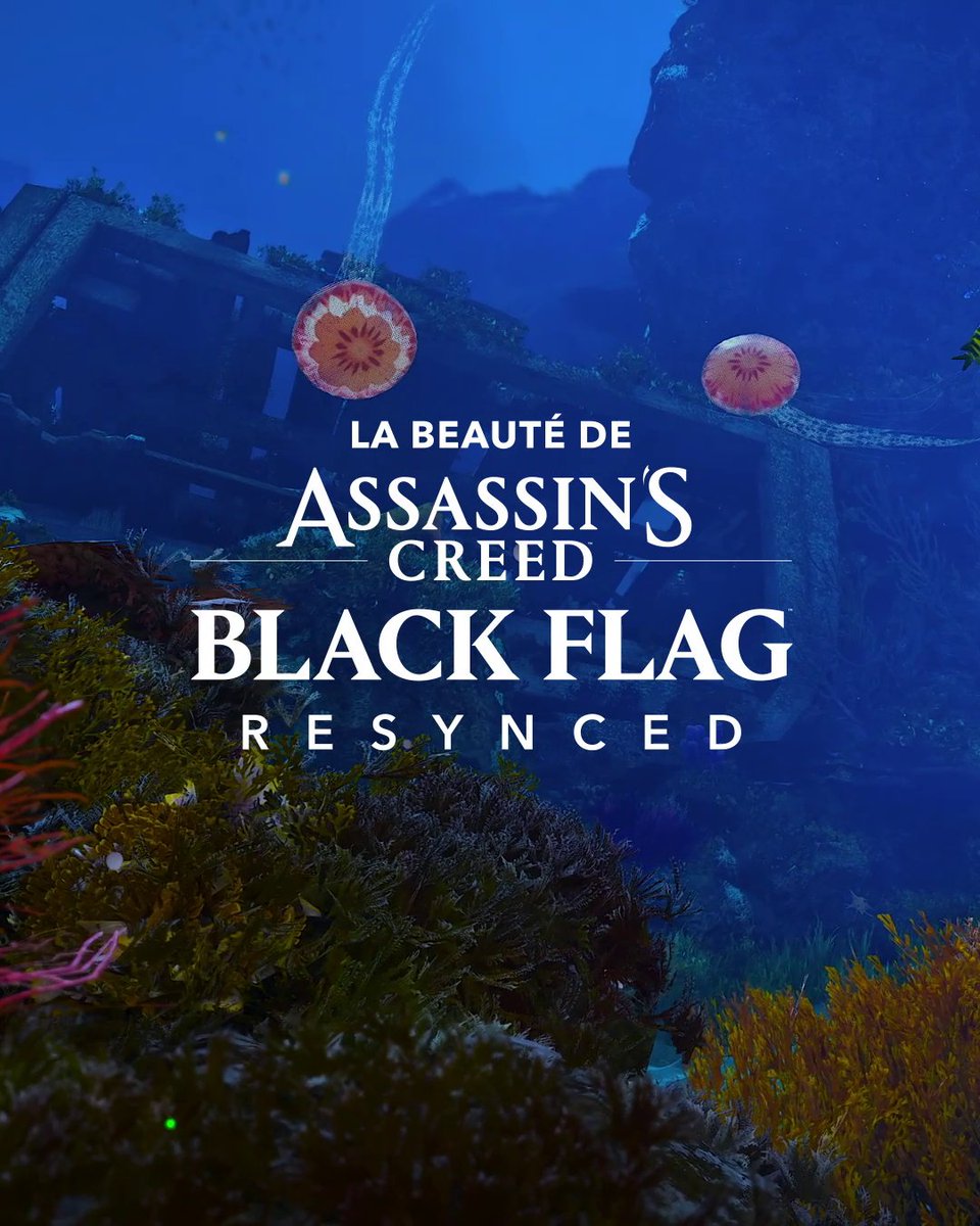Quand la nature devient le plus beau trésor des Caraïbes dans Assassin's Creed Black Flag Resynced...🥹🏝️