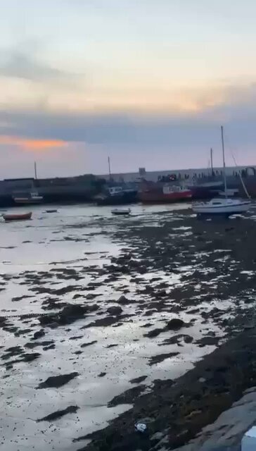 Ireland - Skerries 🇮🇪 Further footage emerges of a gang of black migrants beating an Irish teenager in Skerries on Saturday night. They don’t fight one-on-one, it’s tribal and this what the future of Ireland looks like unless we something drastic changes. If you can, please support our work: Thank you 🇮🇪