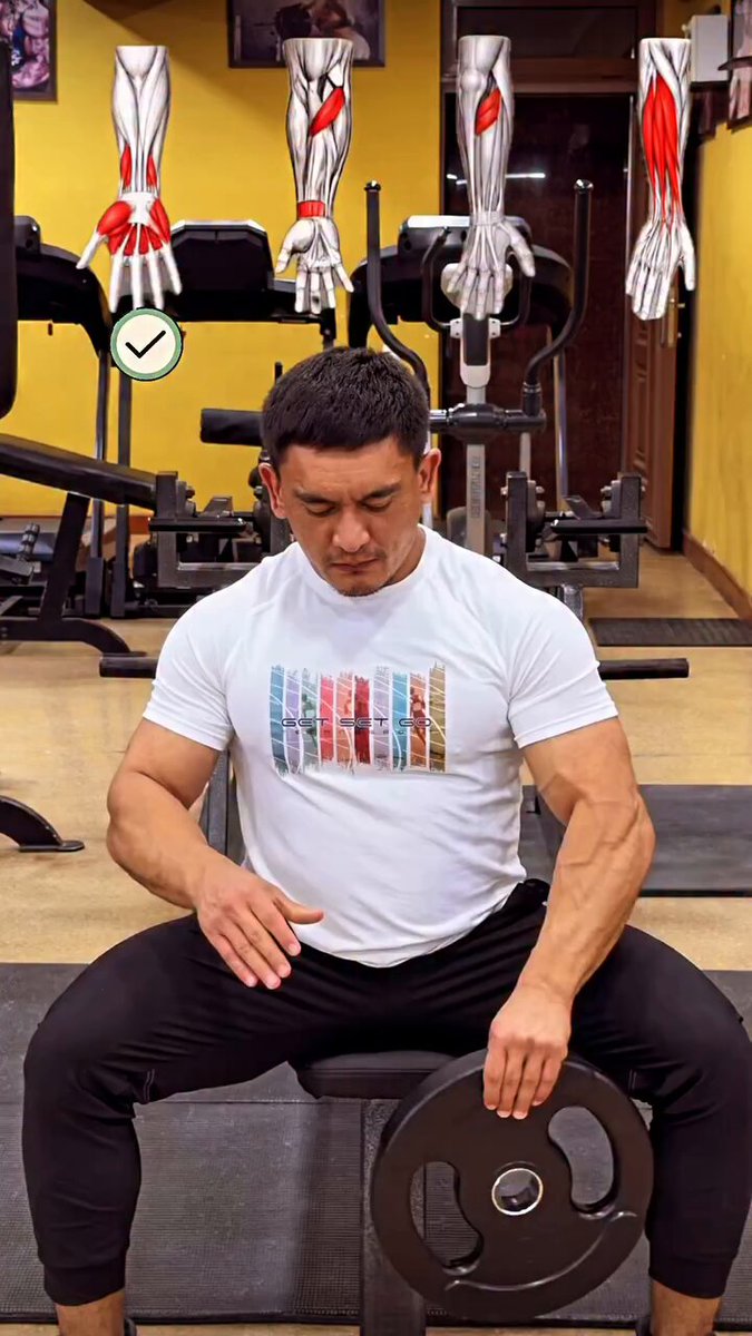 Forearm training