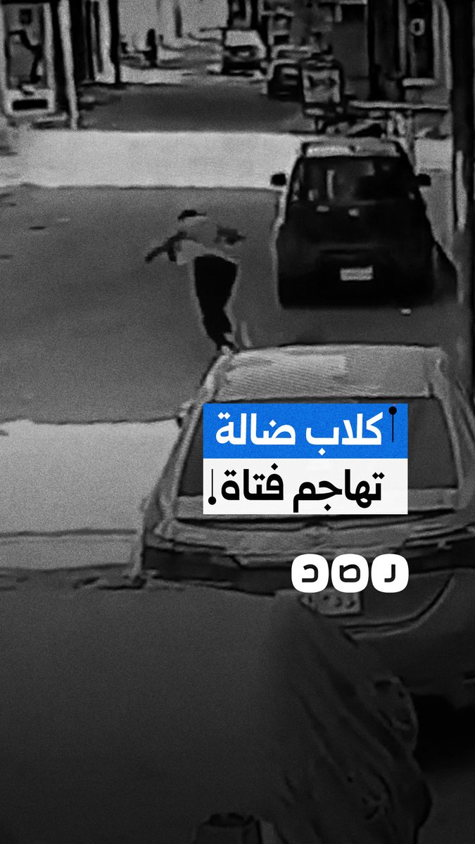 كاميرا المراقبة توثق هجوم كلاب ضالة على فتاة في دمياط