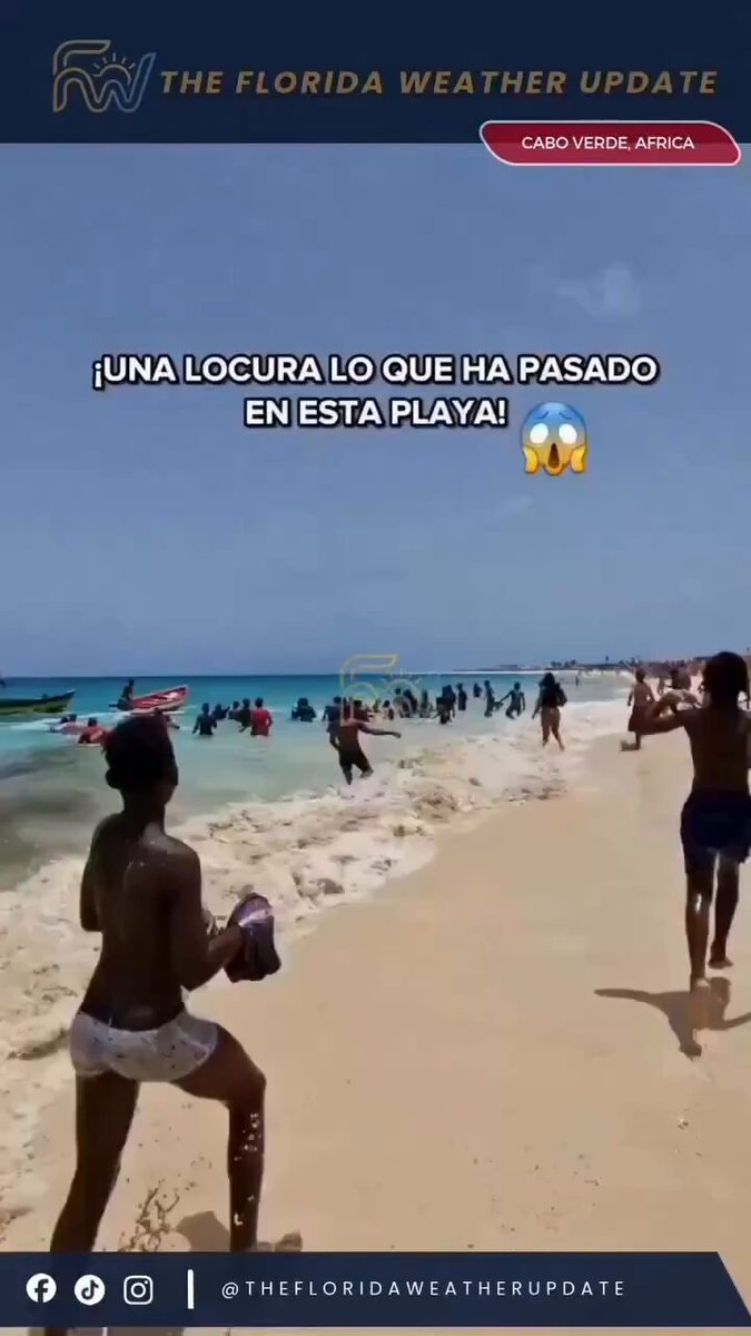 Recuerdan cómo los peces saltaban del mar a las barcazas de los pescadores venezolanos ? Ahora miren lo mismo en la Florida 🇺🇸 y en Cabo Verde 🇨🇻