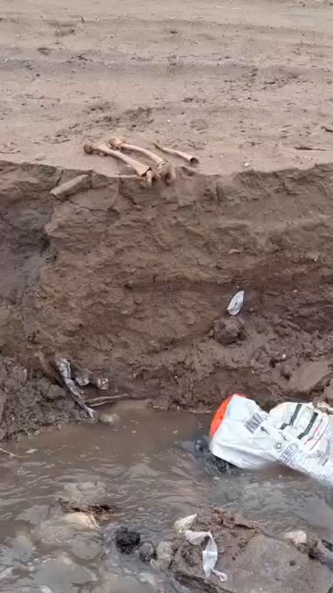 🚨 Socavón deja al descubierto osamentas humanas en La Cantera Un socavón provocado por el desprendimiento de tierra debido a las lluvias dejó al descubierto osamentas humanas en el sector El Polígono, en La Cantera, comuna de Coquimbo. Hasta el momento se desconoce a qué período corresponden los restos, por lo que se espera la intervención de las autoridades competentes para resguardar el sitio e iniciar las pericias. #Coquimbo #SistemaFrontal #RegiónDeCoquimbo #RedComunales #SOSComunales