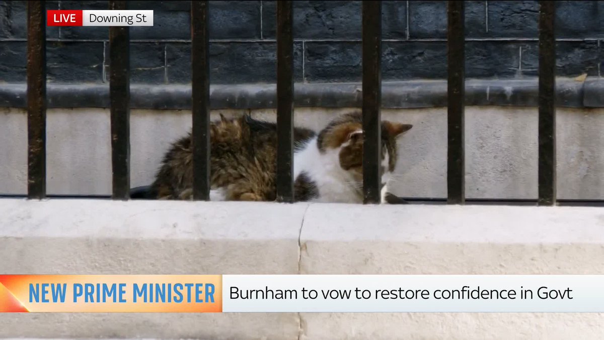 🐈 'He is stability'. Beth Rigby and Sophy Ridge point towards the one constant figure who always remains at the heart of government: Larry the Cat.