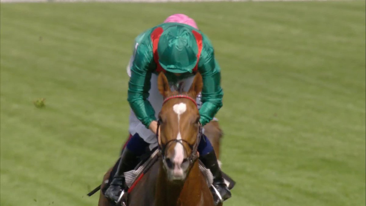 🚨 10 Confirmations for the King George Stakes on Saturday: CALANDAGAN 7/4 BENVENUTO CELLINI 5/2 MASQUERADE BALL 3/1 KALPANA 8/1 GOLIATH 8/1 MINNIE HAUK 10/1 BAY CITY ROLLER 25/1 WURTTEMBERG 50/1 LAMBOURN 200/1 ACTION 500/1 Only 2 British Entries! 🤯🤯🤯