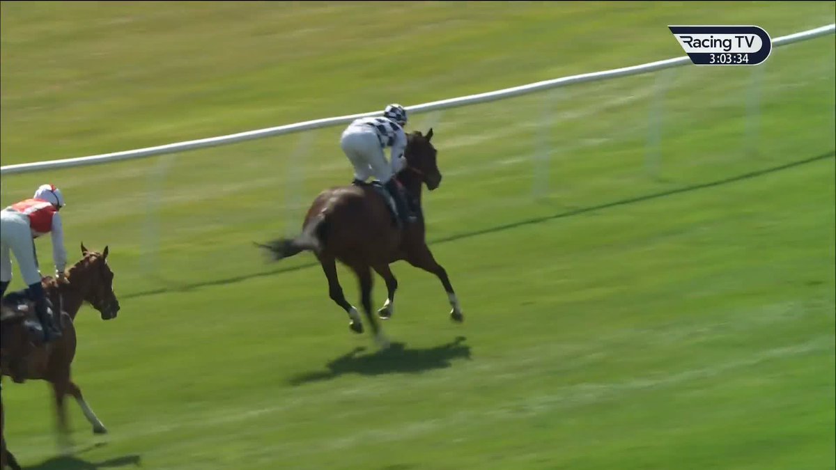 Imperial Guard makes it two wins in eight days, lobbing along behind a decent pace and hitting 40mph in the closing stages on the bridle at Ayr Racecourse. A handicapper to note for Michael Dods Racing