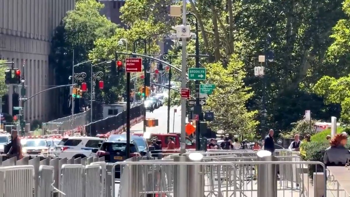 Authorities said a man protesting Immigration and Customs Enforcement was taken into custody after he ignited fireworks and a fire on the steps of the building that houses an ICE office and FBI headquarters in lower Manhattan