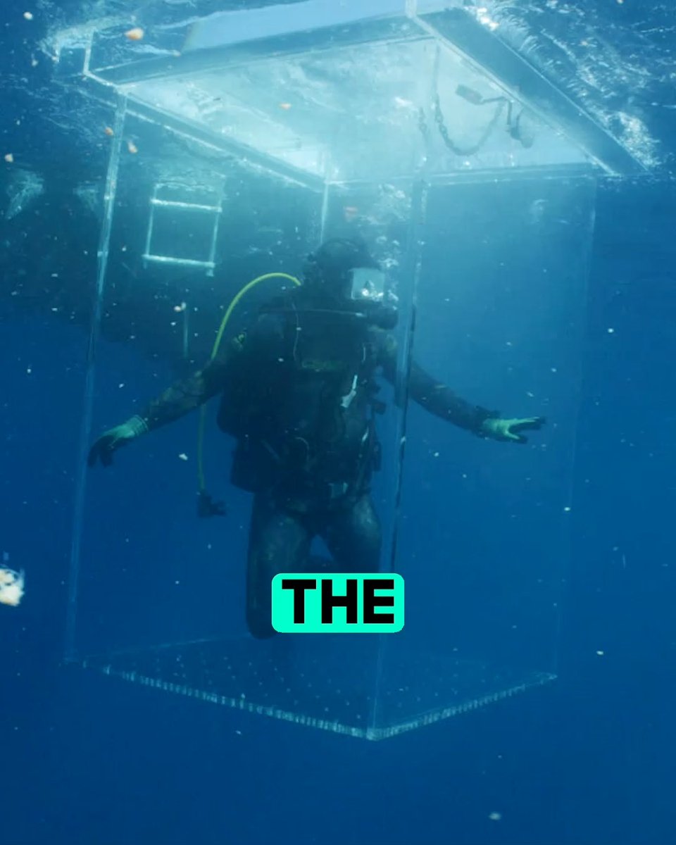 The closest you'll get without becoming lunch 👻🦈 Watch Biggest Mako on Earth when #SharkWeek returns Sunday, July 26 on Discovery.