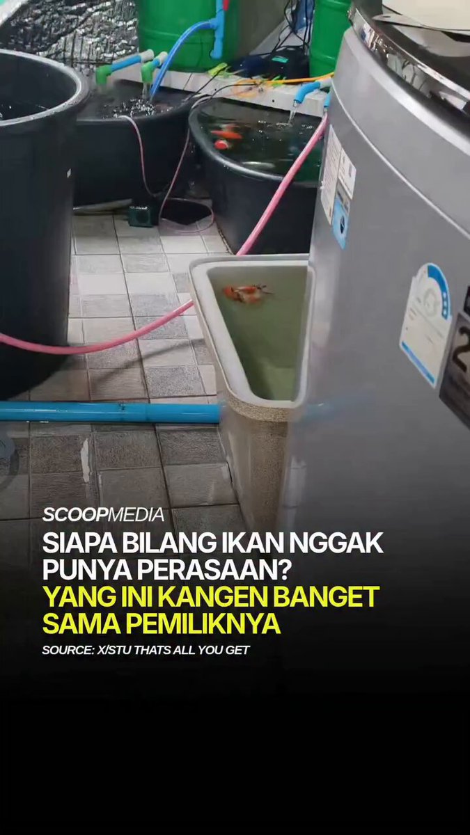 Kok bisa nurut😭