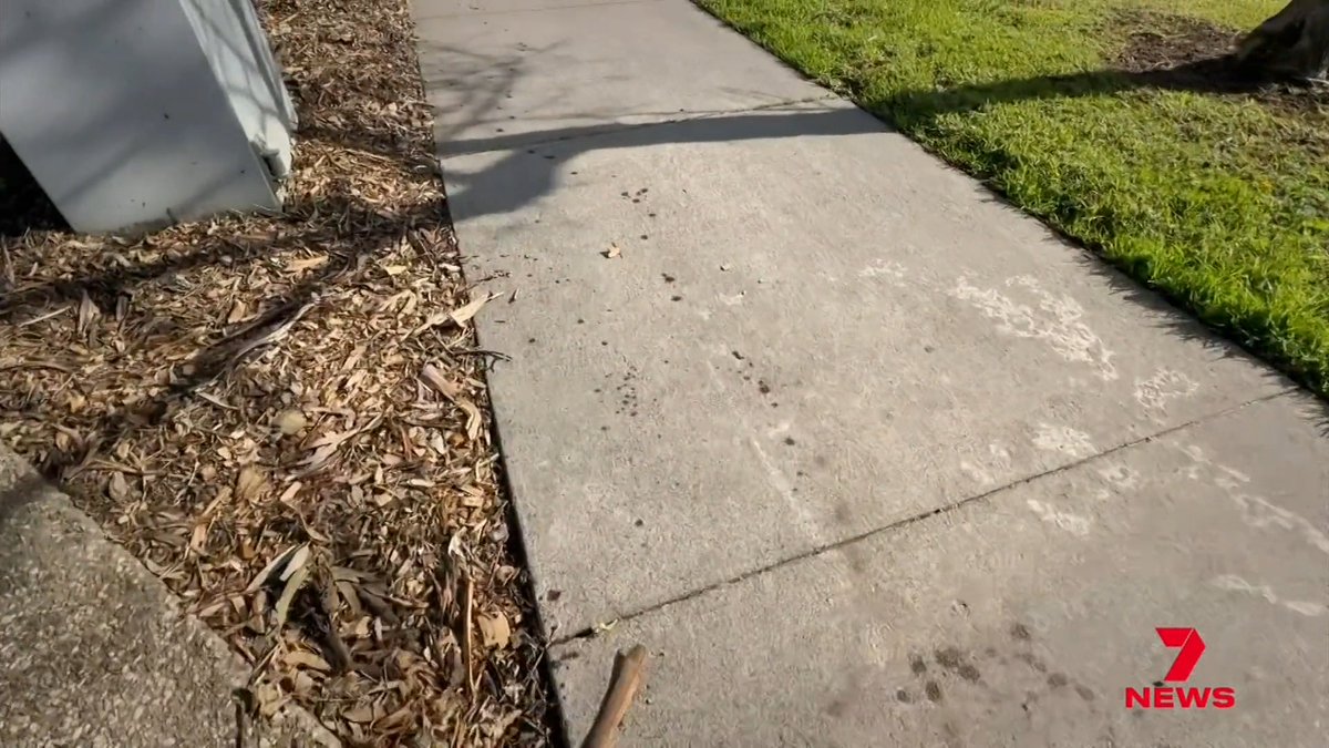 A 15-year-old boy underwent emergency surgery after being allegedly attacked by three machete-wielding assailants near Alkira Secondary College in Cranbourne North. The armed gang, aged 16 to 20, chanted war cries before chasing the victim and allegedly stabbing him, causing serious injuries to his neck, back, arms and hands.