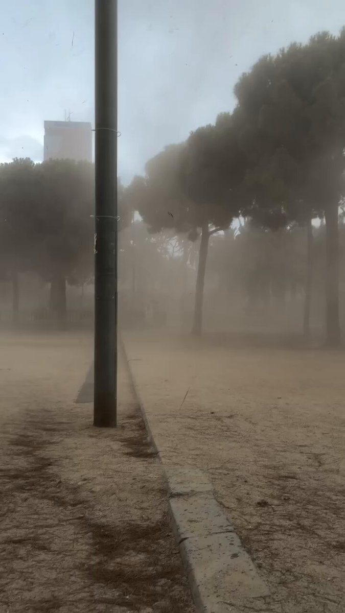 SPAIN: A powerful downburst struck the Barcelona metropolitan area yesterday afternoon, causing significant damage within minutes. Known locally as an esclafit humit, the event formed when intense summer heat collided with cold rain, catching the area off guard with no active weather warnings. The most severe damage was concentrated along a 500-metre stretch across Sants-Montjuïc in Barcelona and nearby L'Hospitalet de Llobregat. Winds reached 119 km/h during the brief two-to-three-minute event, ripping up mature trees, flipping motorcycles, and damaging buildings, streetlights and other infrastructure. Emergency services received 136 calls, but thankfully no injuries were reported. 📹 Claudia