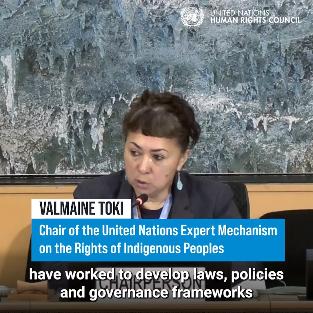 The 20th anniversary of the United Nations Declaration on the Rights of #IndigenousPeoples in 2027 offers an opportunity to take stock of progress, address persistent challenges, and renew the commitment to its effective implementation, #EMRIP Chair Valmaine Toki said. #UNDRIP