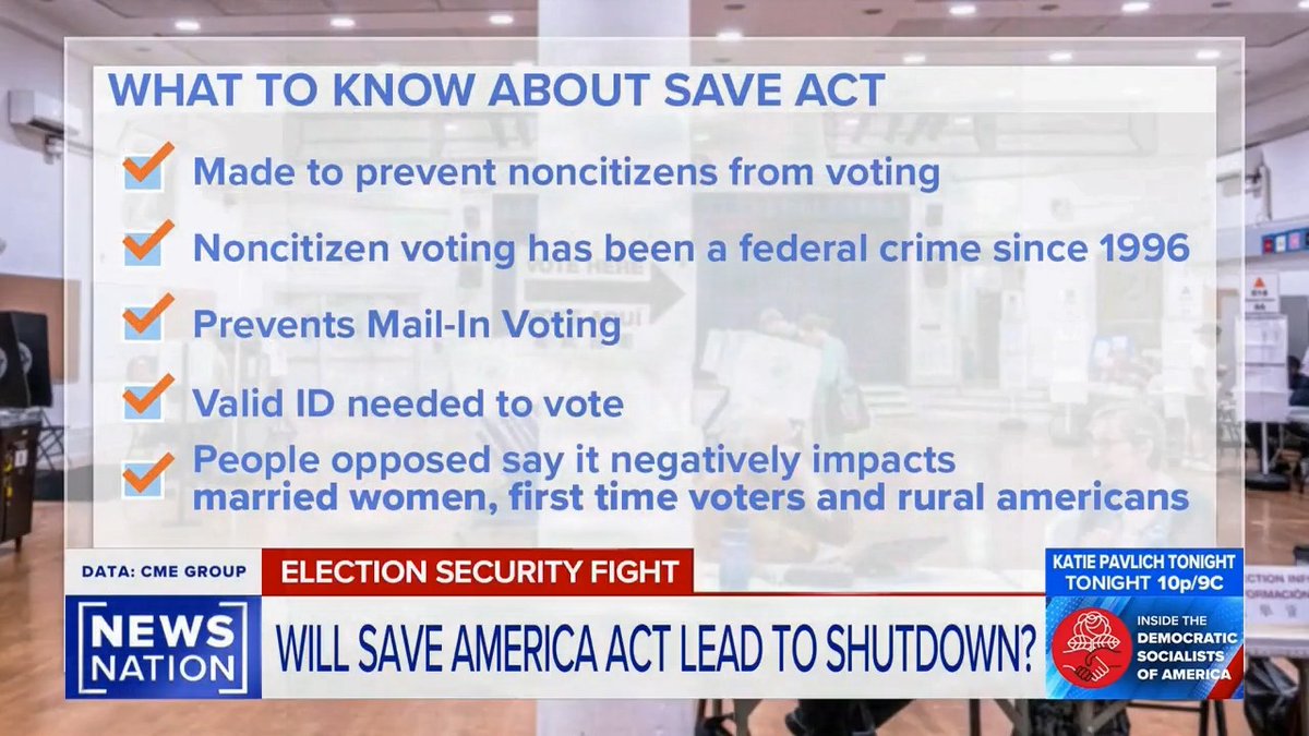 "We have to make sure U.S citizens are the only ones voting in U.S. elections...it's pretty common sense." - RNC Senior Advisor Danielle Alvarez