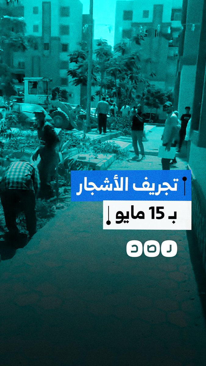 مواطن في 15 مايو يستغيث من استمرار قطع الأشجار وتجريف المساحات الخضراء