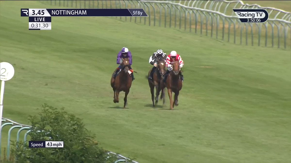 Glamorize (Starman) makes it two from four so far, conceding lots of weight here on nursery debut for David Egan, George Scott and Amo Racing Nottingham Racecourse
