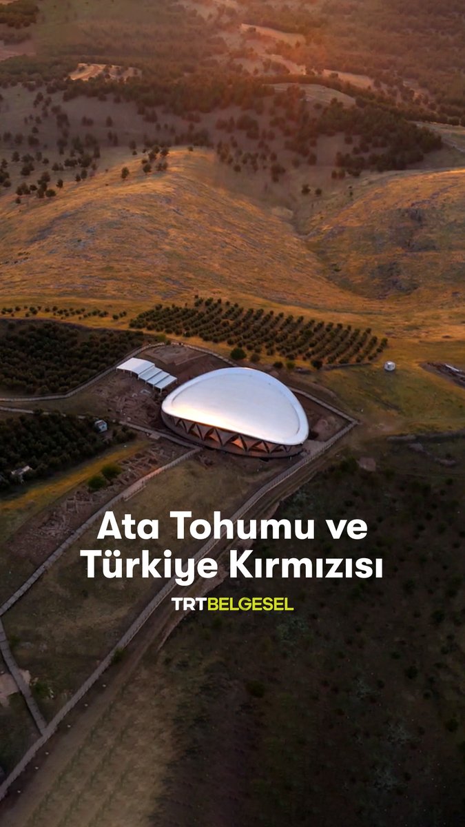 Prof. Dr. İbrahim Saraçoğlu’ndan ata tohumunu, Türkiye kırmızısını ve Göbeklitepe ile Karacadağ arasındaki bölgenin önemini dinliyoruz. 🌾 “Ata Tohumu”, 22.10'da TRT Belgesel'de.