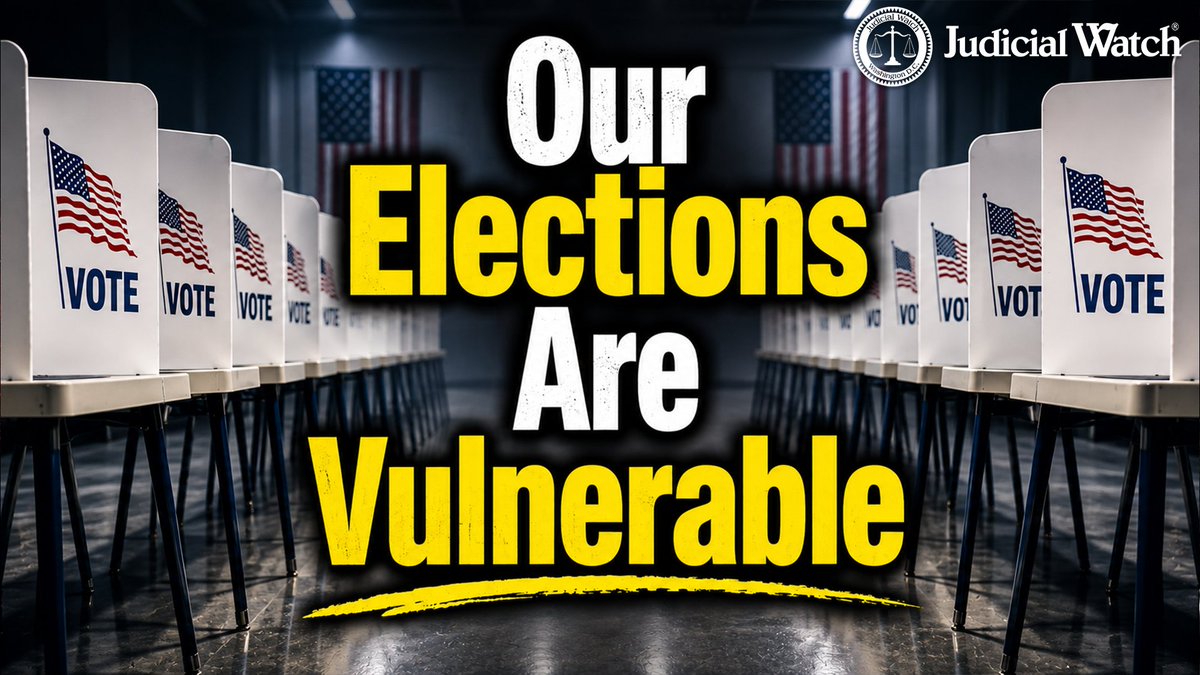 FITTON: Zero Excuses for Election Integrity Cover-Up!