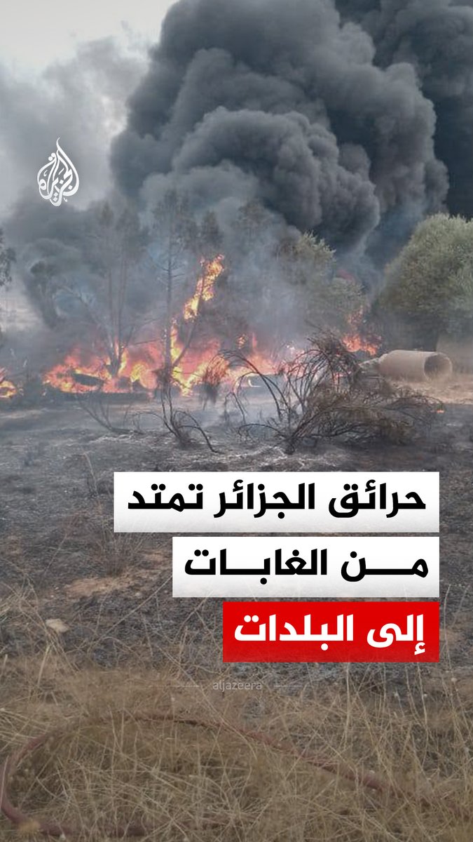حرائق الجزائر تمتد من الغابات إلى البلدات في ولايات عدة شمالا وجنوبا، مخلفة 6 وفيات و1555 حريقا منذ 8 يوليو، وسط درجات حرارة قياسية بلغت 49 درجة مئوية في عدة مدن #فيديو