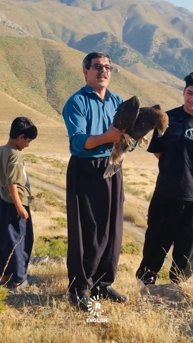 Environmental activists from the Pajin organization in the city of Baneh in Iran's Kurdistan province have released an eagle back into the wild after rescuing it from a citizen who had clipped its wings, with veterinary examinations confirming it was healthy and able to fly. 🎥: Pajinbane