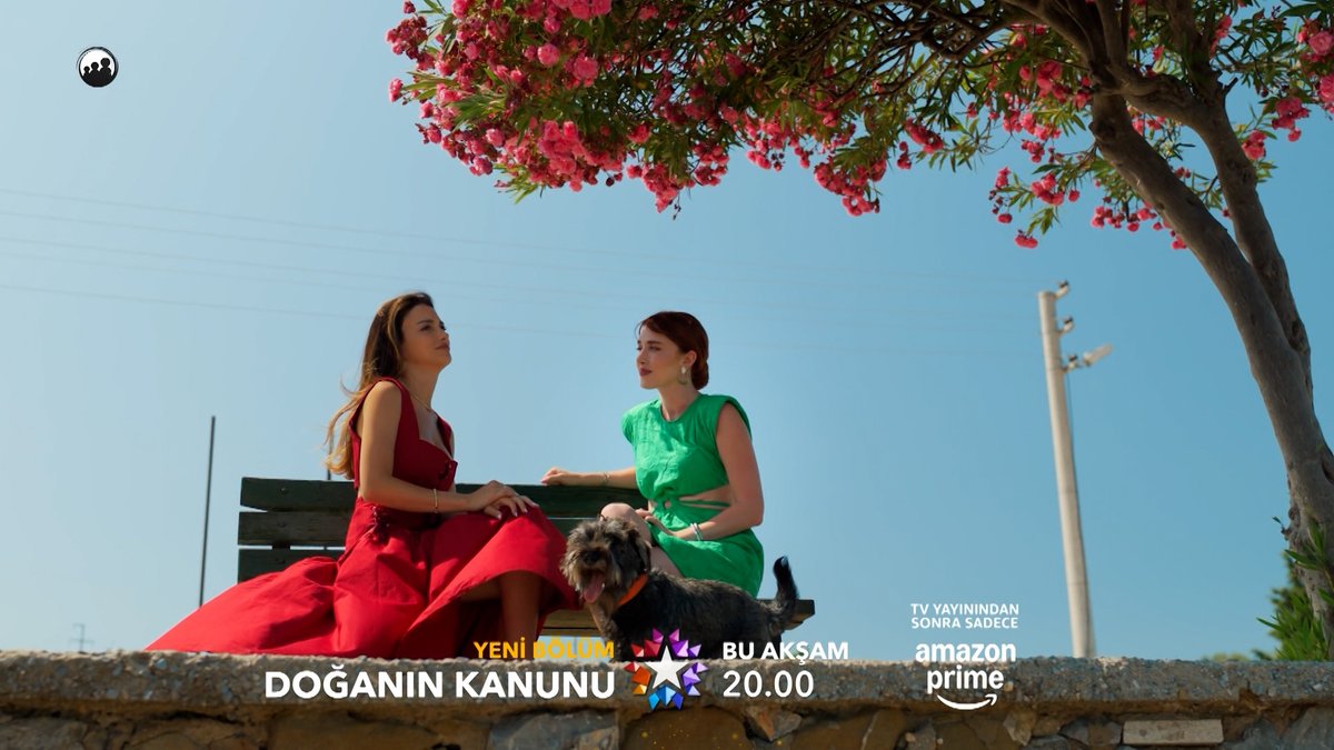 “Ortadan kaybolmuş, telefonu kapalı…” #DoğanınKanunu yeni bölümüyle bu akşam 20.00'de Star'da, TV yayınından sonra sadece Amazon Prime Video'da. doganinkanunudizi