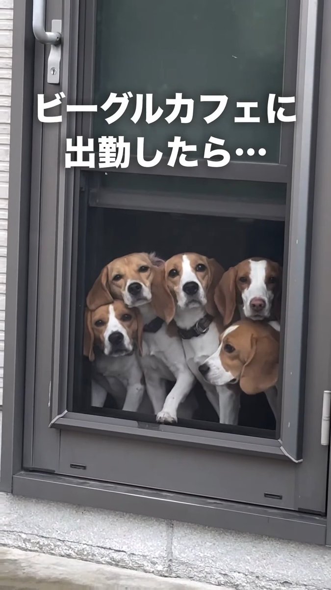やっと来たか…って顔でお迎えされます😂