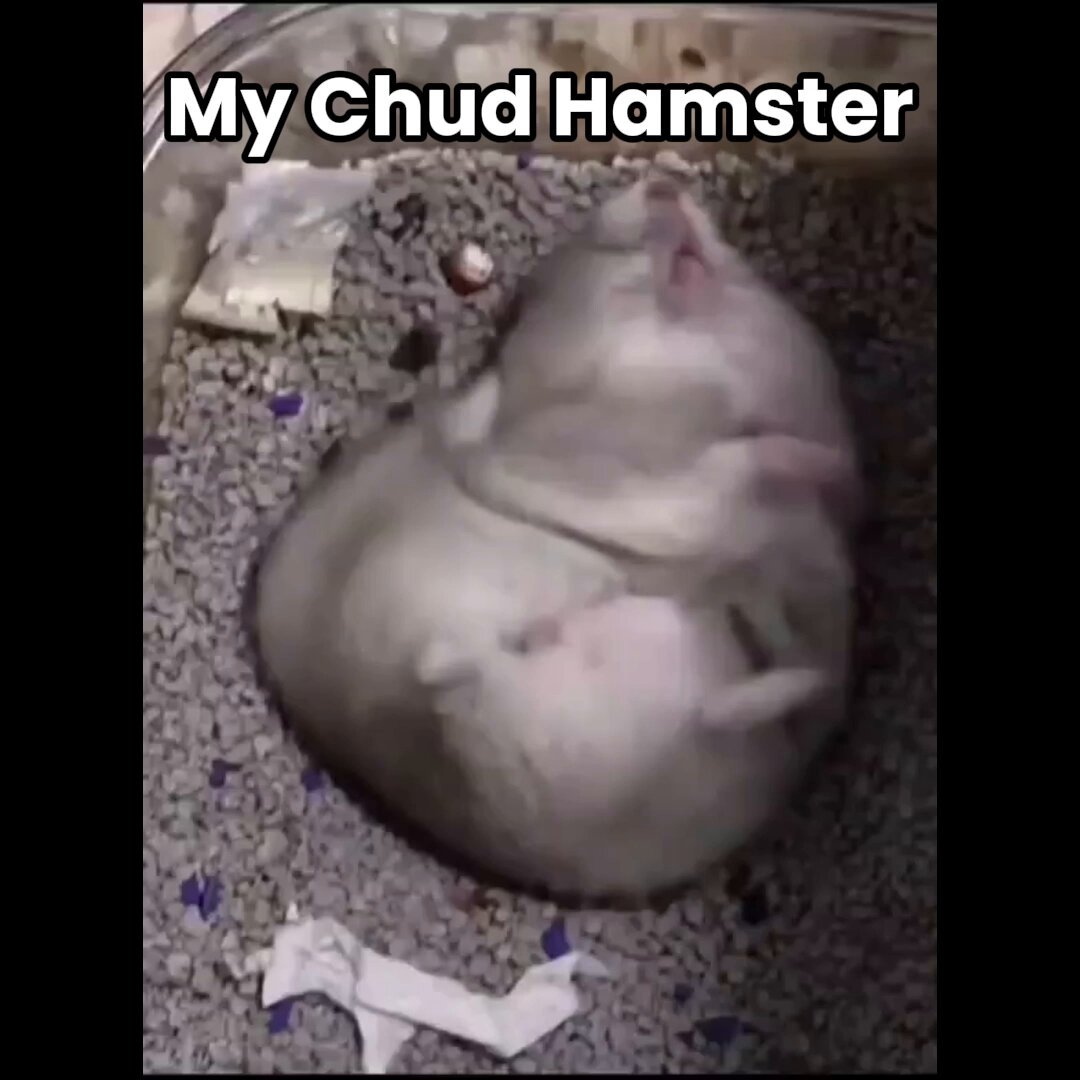 My useless chud son bro