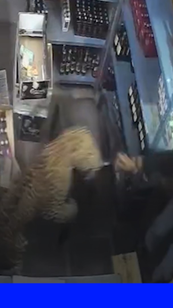 Inde: un léopard fait irruption dans un magasin d'alcool et attaque le vendeur