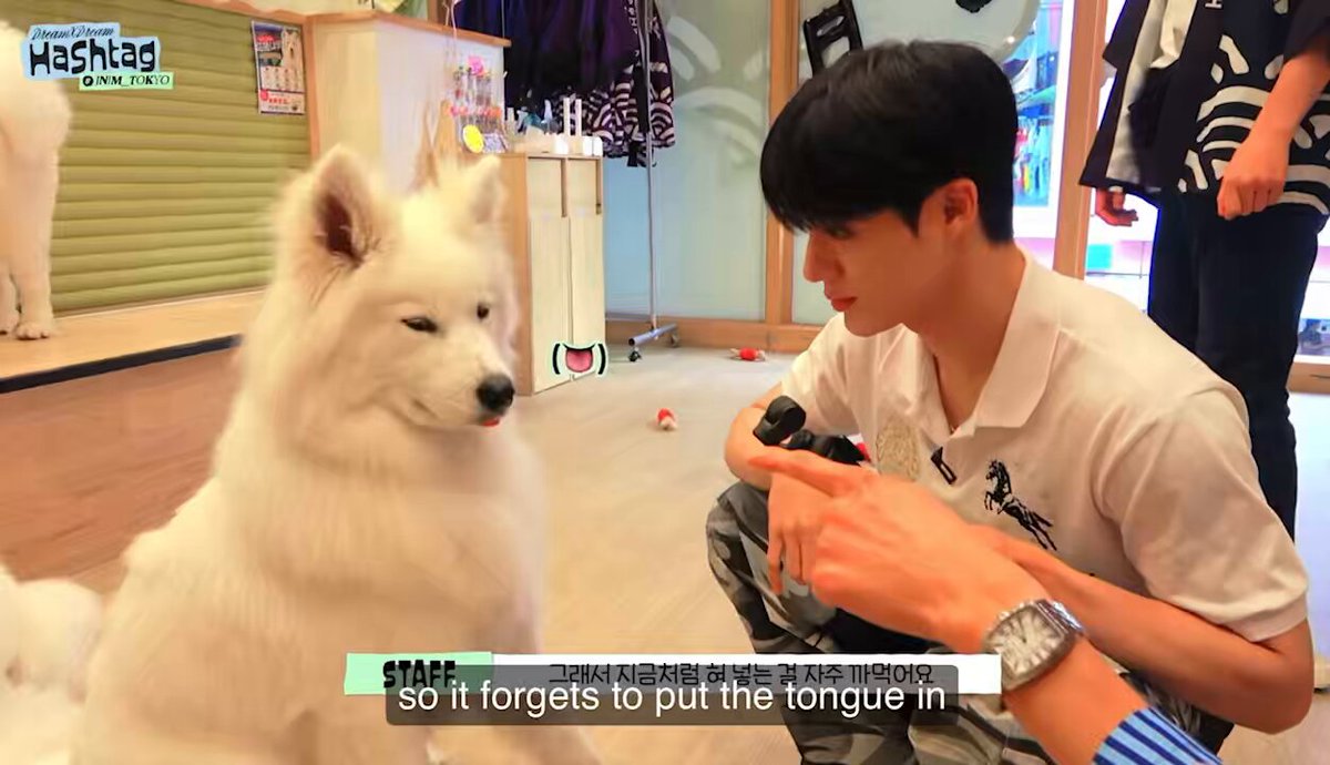 this is making me cry you can tell he’s not a dog person like baby dogs think showing them your tongue is an invitation to lick your entire face especially your mouth