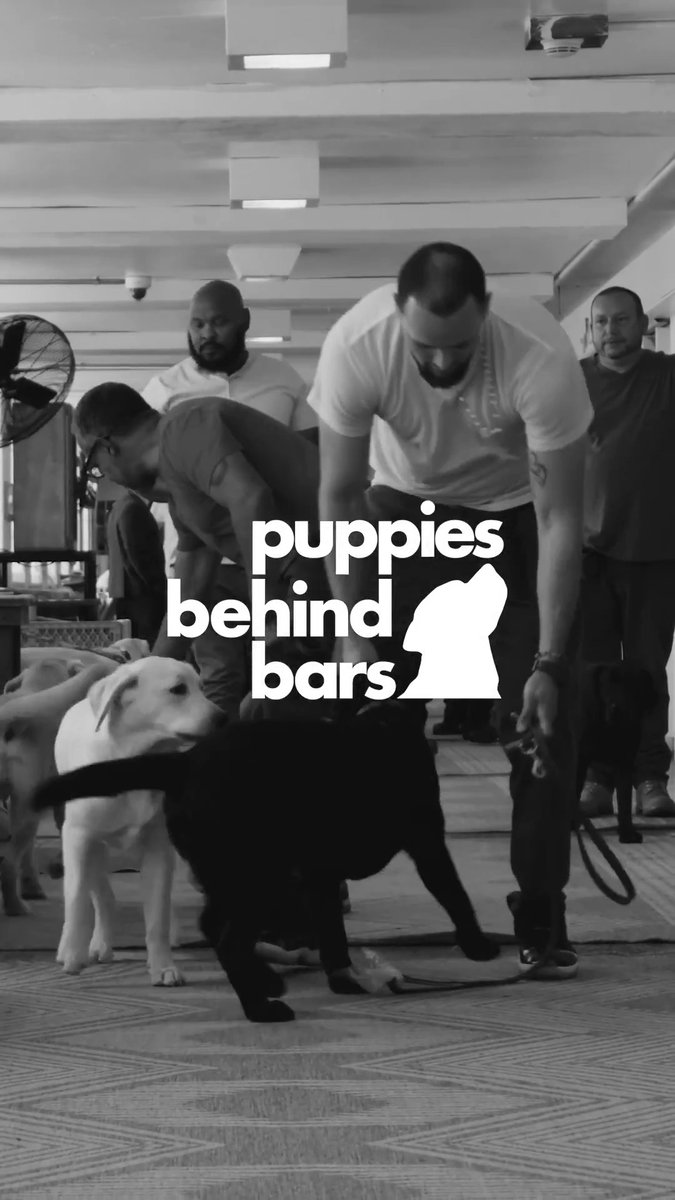 .Puppies Behind Bars gives incarcerated individuals the chance to raise service dogs for wounded veterans, first responders, and school psychologists. The NFL is proud to partner with them to help raise three future service dogs. 🐾