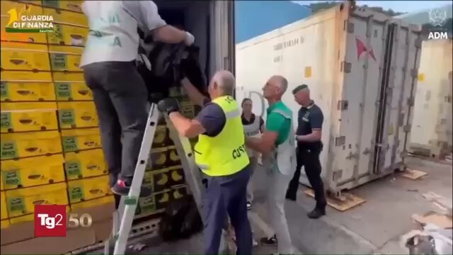 ‼️#URGENTE La Policía de #Italia incautó cerca de 800 kilos de cocaína ocultos en un cargamento de banano procedente de Ecuador, durante un operativo en el puerto de Vado Ligure, en la región de Liguria. ▶️Tg2