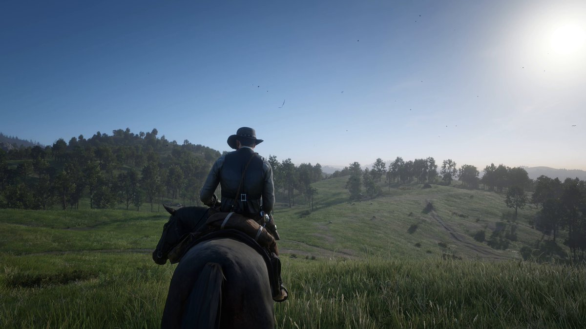 simplesmente red dead redemption 2 rodando em 4k, 60 fps e com tudo no máximo é realmente bizarro o quão lindo e vivo é esse jogo! dá vontade de ficar horas e horas só andando por esse mundo