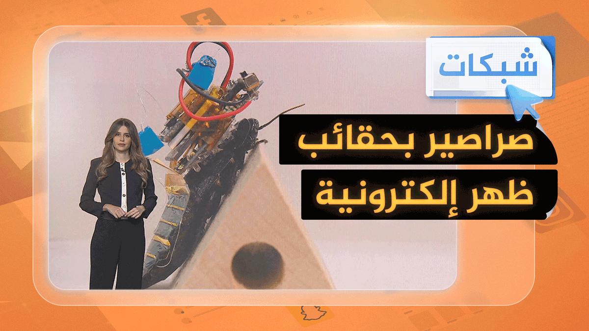 صراصير مسيرة لإنقاذ البشر من الكوارث.. ما قصة "السايبورغ" الياباني؟ #شبكات