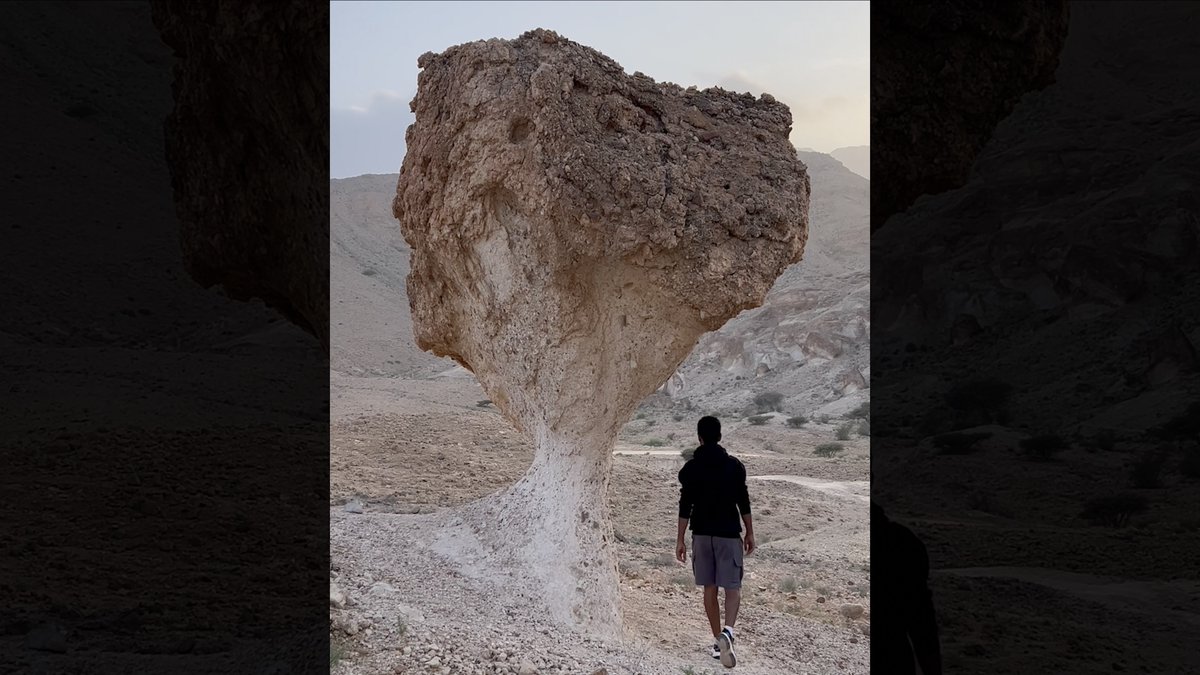 فطريات عملاقة "تنبت" في قلب الصحراء العُمانية.. ما سرّها؟ لمزيد من التفاصيل: