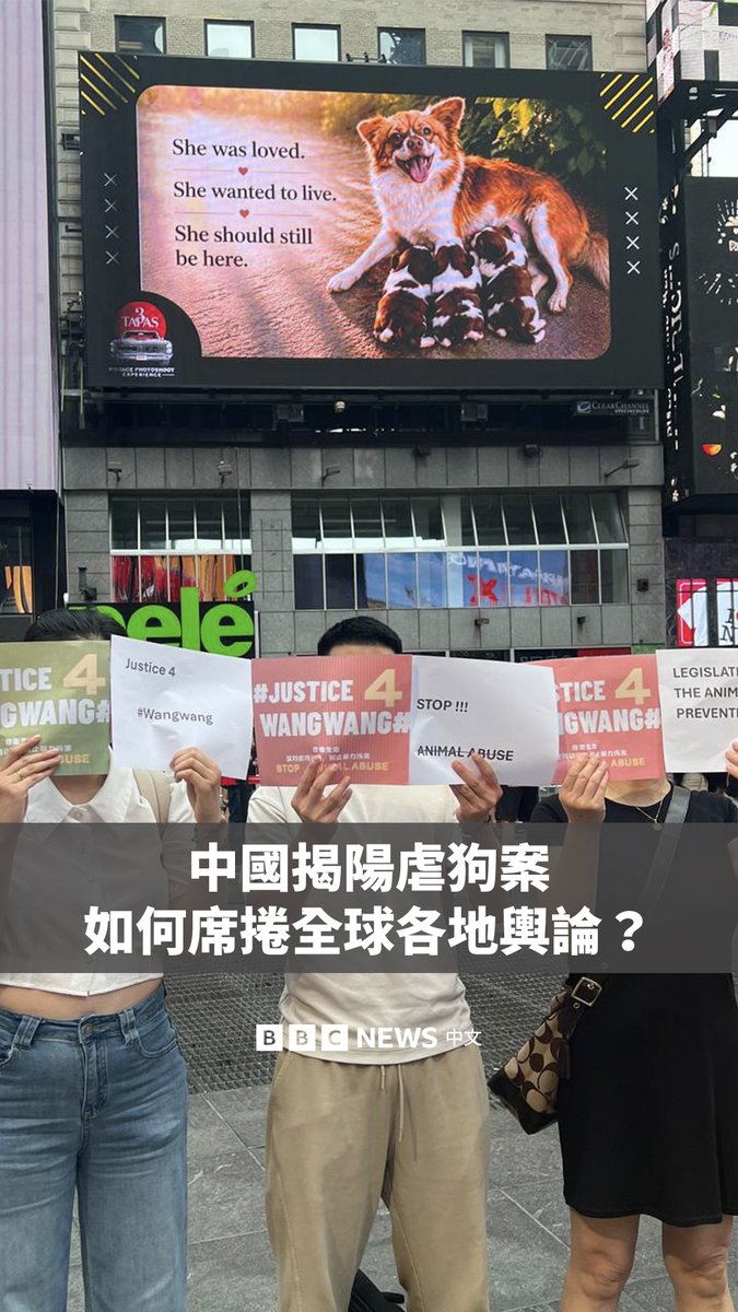 过去几周，一只名为“旺旺”的流浪母狗及其幼犬遭四名男童虐杀事件，在中国网络引发震惊和愤怒，更在纽约等多个城市掀起声援行动。 这宗事件不仅引发公众对未成年人施虐及动物福利的讨论，也再次聚焦中国至今未有全国性反虐待动物法的争议。 近月来，中国接连发生多宗虐待动物事件。与此同时，中国的宠物猫狗数量已超过一亿只。不少民众希望该事件能推动当局采取措施，防止类似事件发生。