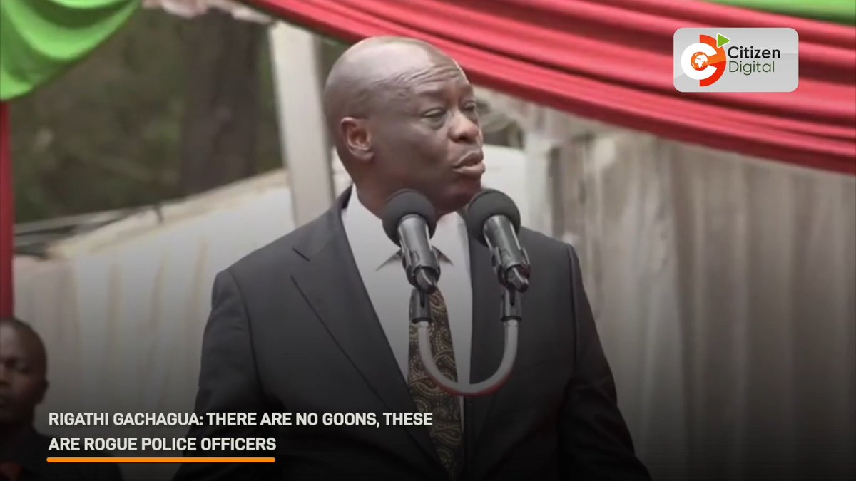 Rigathi Gachagua: There are no goons; these are rogue police officers