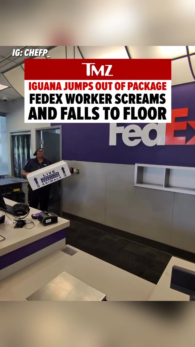 A FedEx worker got the scare of a lifetime after a live iguana burst out of a customer's package and started running around the store. 😳