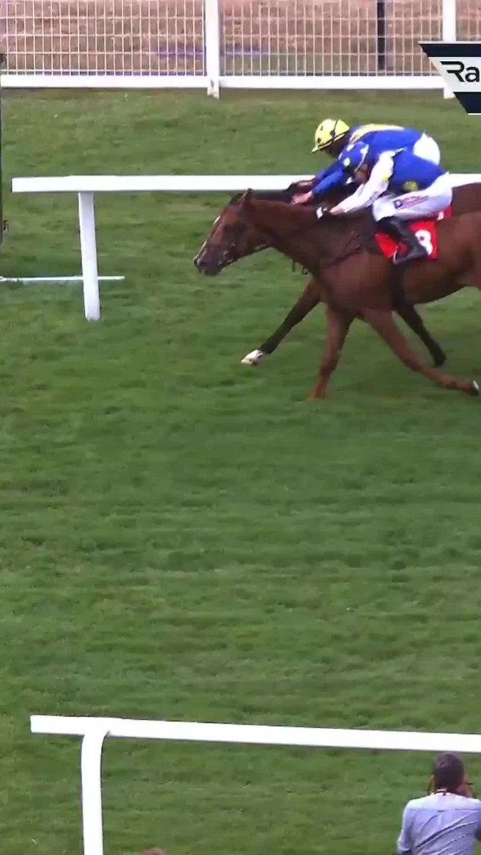 Rossa Ryan handed 28-day ban after finishing second at Sandown ➡️