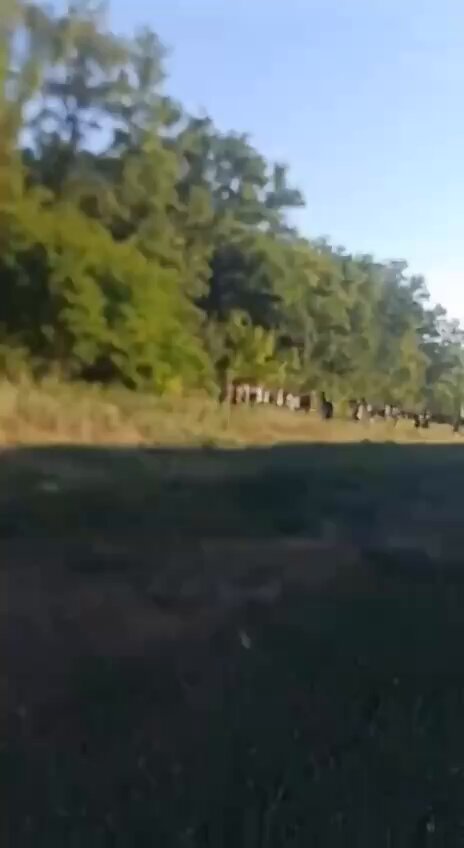russian bastards have hunted our trains since 2025, a serious problem. The train stopped, passengers got out, waiting for the threat to pass. The Shahed hunted them down and killed the locomotive. Piloted by a russian soldier, target-lock. They see the people, still strike.