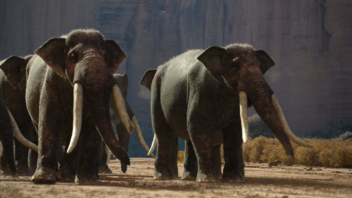 Something extremely rare is about to happen... 🐘 #SurvivingEarth | Tonight 8/7c | NBC and next day on Peacock