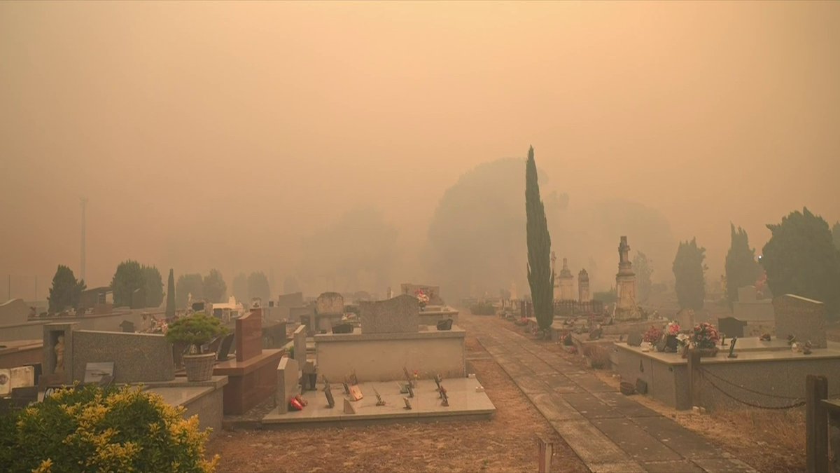 🔴 🗣️ Gironde : "L'incendie est erratique avec des sautes de feu (...) Une des luttes principales concerne la zone périurbaine de Lège. Nous faisons une défense (...) maison par maison", indique Marc Vermeulen, directeur du Sdis Gironde. #canal16