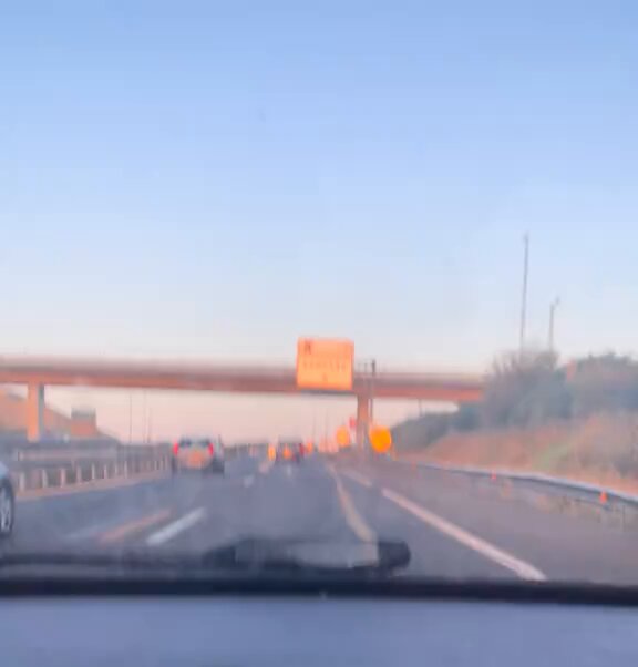 Dios mío, no pongáis el audio, me tiene balbuceando el bicho