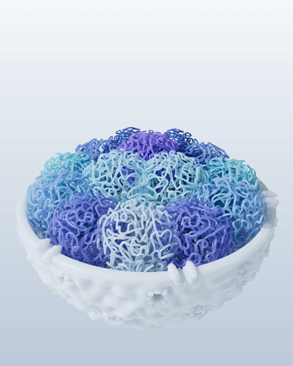 Strands of DNA-like thread coil, loop, and spill upward, evoking the genome's dynamic three-dimensional architecture within the nucleus of a living cell. This special issue, with papers in Science and Science Advances, features single-cell and multiomic studies from the National Institutes of Health Common Fund's 4D Nucleome Program, which examines a fourth dimension of nuclear organization—how this folded structure shapes cell identity, shifts across development and aging, and goes awry in disease. Learn more: